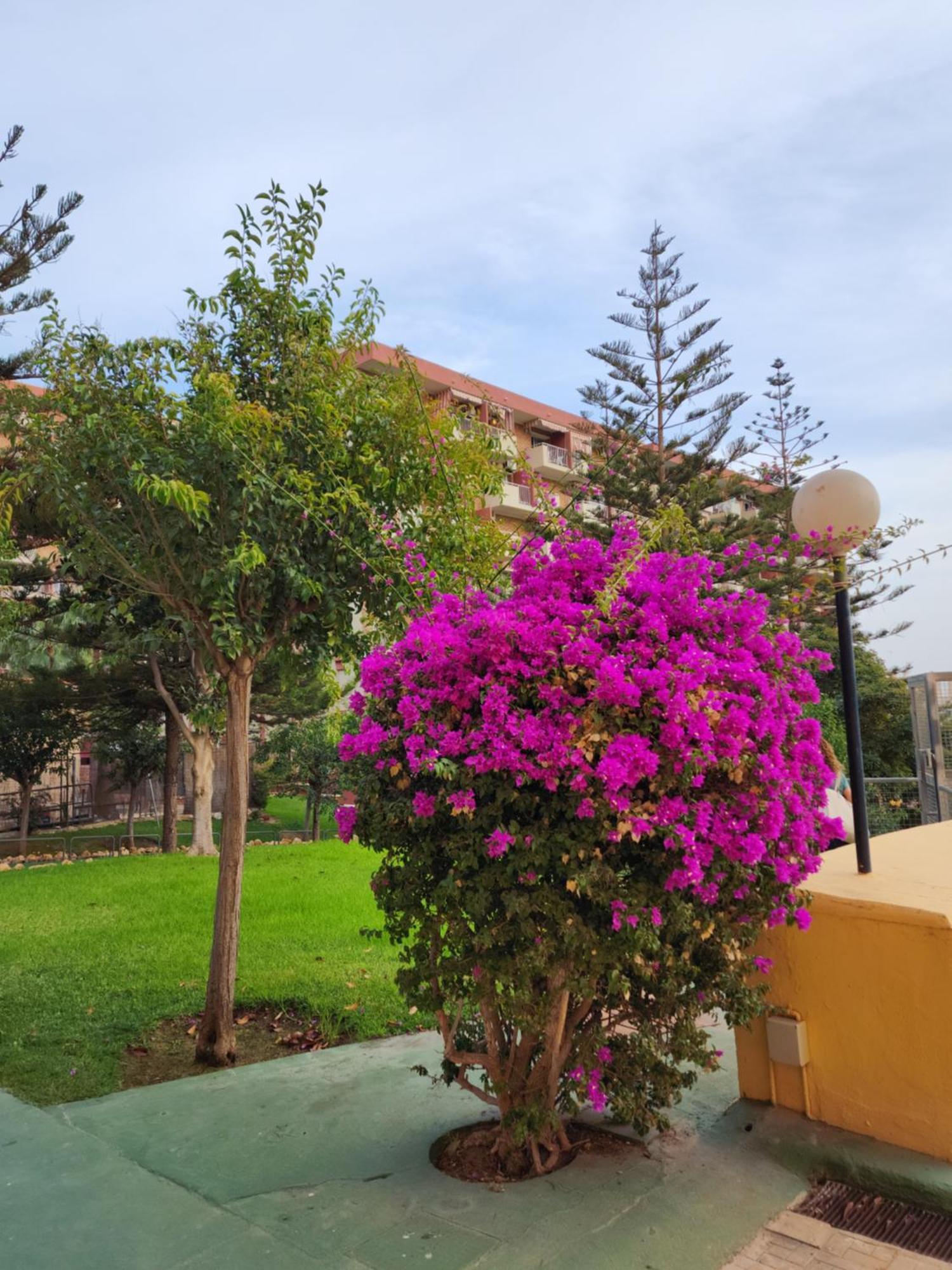 Benalmadena Minerva 401 Estudio Con Gran Piscina Y Parque Acuatico Exterior photo